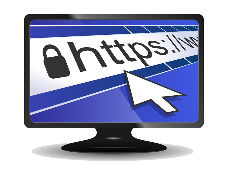 Website development costs