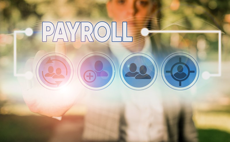 Setting up a payroll scheme